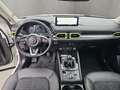 Mazda CX-5 NEWGROUND ++360°Kamera+HEAD-UP+Navi++ Blanco - thumbnail 13