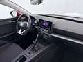 SEAT Leon Sportstourer 1.0 TSI Reference LED ASSIST Rot - thumbnail 14