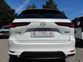 Mazda CX-60 3.3L e-SKYACTIV D AWD HOMURA PLUS Aut. AUTO STA... Weiß - thumbnail 5