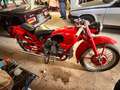 Moto Guzzi Falcone SPORT CIVILE Rosso - thumbnail 4