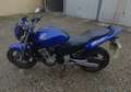 Honda Hornet 600 Blu/Azzurro - thumbnail 1