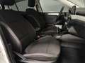 Ford Focus 1.0 ECOBOOST MHEV 92KW Blanco - thumbnail 32