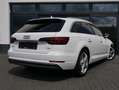 Audi A4 Avant sport 3x S-line VIRTUAL LED Blanco - thumbnail 14