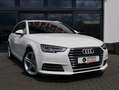 Audi A4 Avant sport 3x S-line VIRTUAL LED Blanco - thumbnail 5