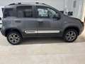 Fiat Panda Panda 0.9 t.air turbo Trekking 85cv E6 - thumbnail 4
