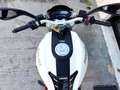 Ducati Monster 796 Plus 2014 - FINANZIAMENTI Blanc - thumbnail 10