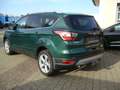 Ford Kuga 4x4 Xenon, AHK, Kamera, elek. Klappe, 18" Vert - thumbnail 6