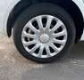 Ford Fiesta Fiesta VI 2013 5p 1.4 Gpl 92 Cv Blanco - thumbnail 15
