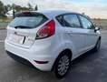 Ford Fiesta Fiesta VI 2013 5p 1.4 Gpl 92 Cv Blanco - thumbnail 6