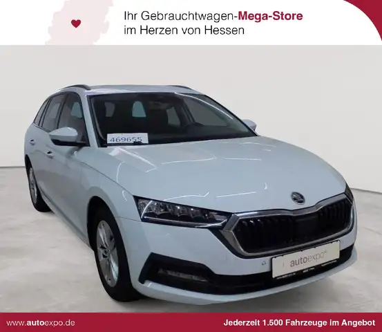 2023 Skoda Octavia in White for sale