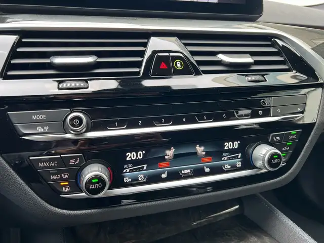 BMW 5 Series view 11