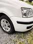 Fiat Panda 1.2 Dynamic 5pl Wit - thumbnail 8