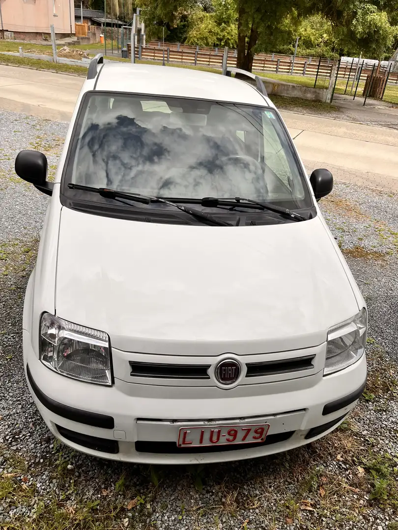 Fiat Panda 1.2 Dynamic 5pl Wit - 2