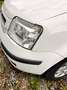 Fiat Panda 1.2 Dynamic 5pl Wit - thumbnail 7