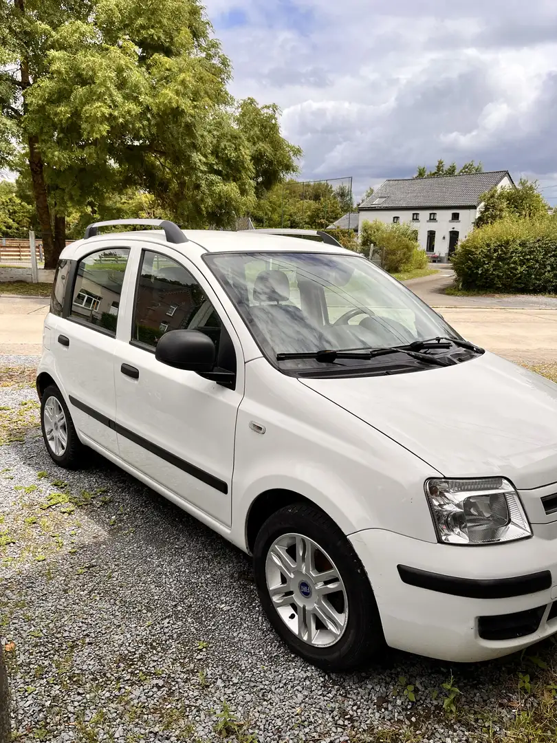 Fiat Panda 1.2 Dynamic 5pl Wit - 1