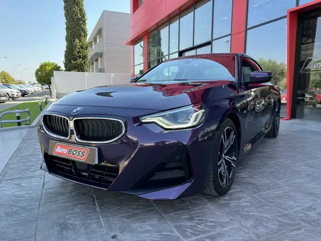 BMW 2 Series view 11