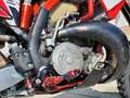 Gas Gas EC 300 Six Days 2011 Rouge - thumbnail 14