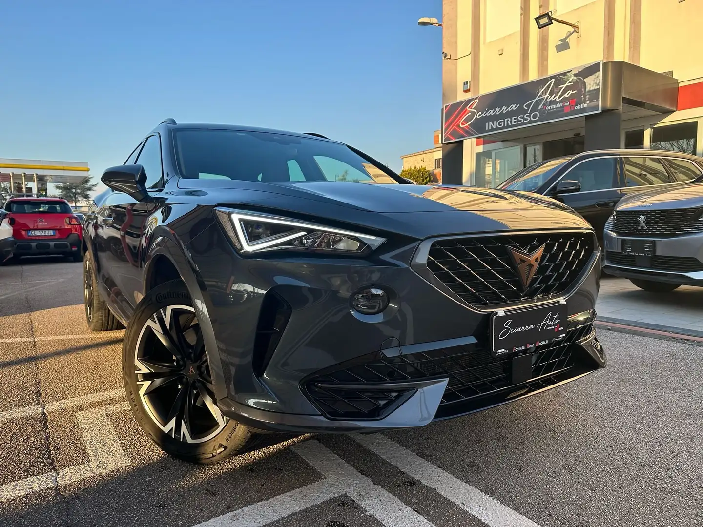 CUPRA Formentor Formentor 2.0 tdi 4drive 150cv dsg Gris - 1