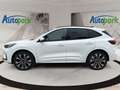 Ford Kuga ST-Line X Plug-In Hybrid Weiß - thumbnail 4