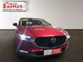 Mazda CX-30 G122 COM SO ST Rückfahrkamera, Lenkradheiz. Rot - thumbnail 16