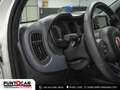 Fiat Panda 1.0 FireFly S&S Hybrid Cross PROMO FLEX Білий - thumbnail 11