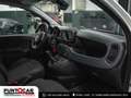Fiat Panda 1.0 FireFly S&S Hybrid Cross PROMO FLEX Білий - thumbnail 7