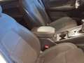 Nissan Qashqai DIG-T 103kW (140CV) mHEV 4x2 Acenta Blanco - thumbnail 15
