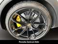 Porsche Cayenne Turbo GT BOSE Sportabgasanlage LED Grau - thumbnail 11
