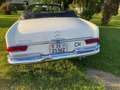 Mercedes-Benz 250 SE Cabrio Biały - thumbnail 9