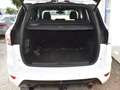 Ford Kuga ST-Line Weiß - thumbnail 4