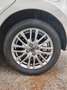 Mazda 2 Mazda2 1.5 Skyactiv-G 90 CV M Hybrid Exclusive Bianco - thumbnail 16