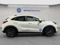 Ford Puma 1.0 EcoBoost Hybrid Aut. TITANIUM Weiß - thumbnail 7