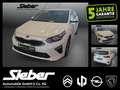 Kia Ceed / cee'd Ceed 1.5 T-GDI Spirit ***Rückfahrkamera*** Weiß - thumbnail 1