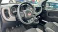 Fiat Panda 1.0 MHEV GSE CROSS HYBRID 70 5P Azul - thumbnail 10