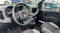 Fiat Panda 1.0 MHEV GSE CROSS HYBRID 70 5P Azul - thumbnail 7