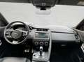 Jaguar E-Pace P250 AWD Aut. R-Dynamic Grau - thumbnail 5
