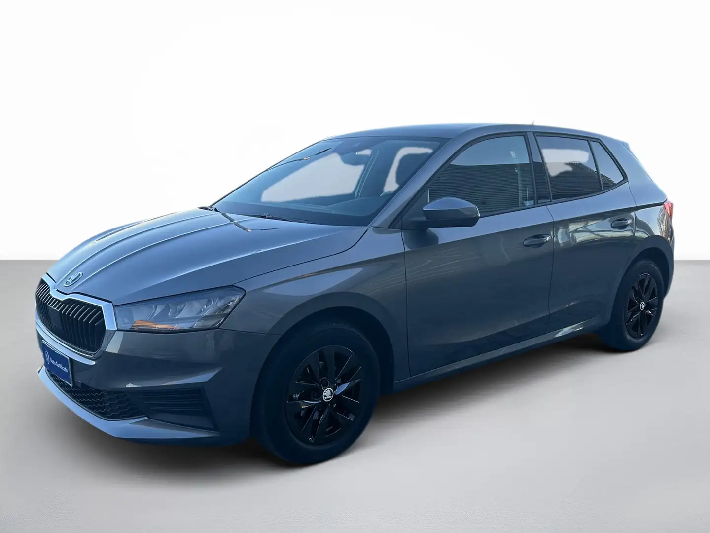 Skoda Fabia 1.0 mpi evo ambition 65cv Grigio - 1