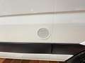Volkswagen Crafter 2.5 L2H2 AHK-3,5T KLIMA STANDHZ VERGLAST 5-ZYLINDE Gris - thumbnail 19
