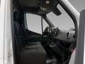 Mercedes-Benz Sprinter 311 CDI Kasten BASE L2H2 Kame+TotW+SHz Weiß - thumbnail 9