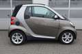 smart forTwo Cabrio Passion*98PS*Servo*SHZ*Klima*TÜV27 Grau - thumbnail 14