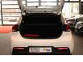 Kia Rio 1.2 Edition*KLIMA*SHZ*PDCH*TEMP*MFL* Blanc - thumbnail 25