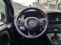 Fiat Panda Panda 1.0 firefly hybrid s&s 70cv Azul - thumbnail 13