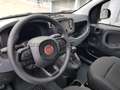 Fiat Panda Panda 1.0 firefly hybrid s&s 70cv Azul - thumbnail 11