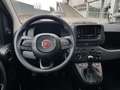 Fiat Panda Panda 1.0 firefly hybrid s&s 70cv Azul - thumbnail 12