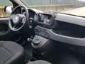 Fiat Panda Panda 1.0 firefly hybrid s&s 70cv Azul - thumbnail 21