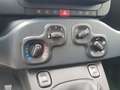 Fiat Panda Panda 1.0 firefly hybrid s&s 70cv Azul - thumbnail 16