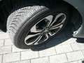 Honda Jazz Jazz Crosstar 1.5 hev Executive ecvt Nero - thumbnail 10