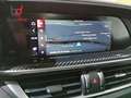 Alfa Romeo Stelvio 2.9 Bi-Turbo Q4 Quadrifoglio AT8 Gris - thumbnail 22