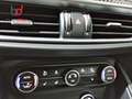 Alfa Romeo Stelvio 2.9 Bi-Turbo Q4 Quadrifoglio AT8 Gris - thumbnail 23