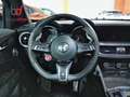 Alfa Romeo Stelvio 2.9 Bi-Turbo Q4 Quadrifoglio AT8 Gris - thumbnail 10